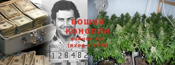 ГАЛЛЮЦИНОГЕННЫЕ ГРИБЫ Алзамай