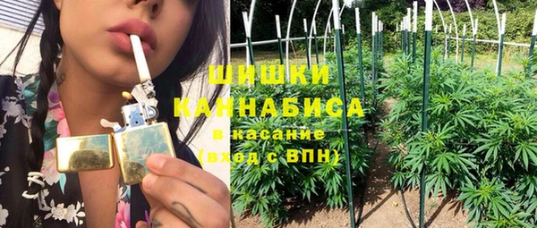 ГАЛЛЮЦИНОГЕННЫЕ ГРИБЫ Алзамай