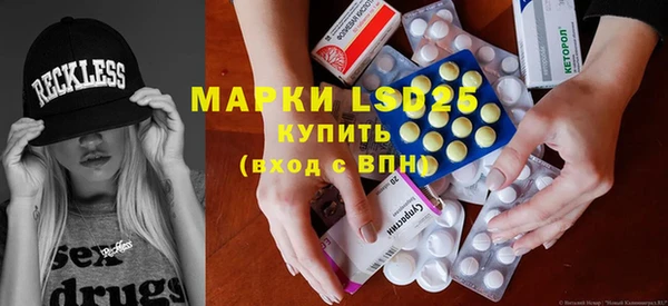 ГАЛЛЮЦИНОГЕННЫЕ ГРИБЫ Алзамай