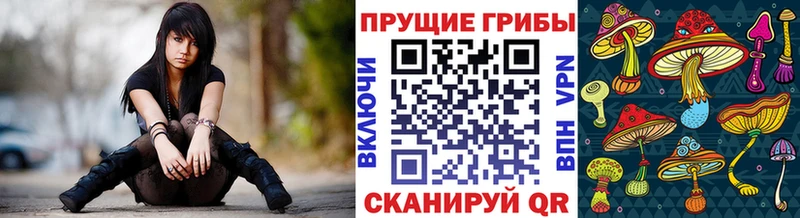 Псилоцибиновые грибы мухоморы kraken ТОР Саров