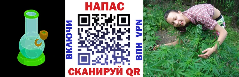 Шишки марихуана конопля  omg вход  Саров 
